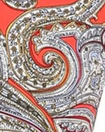 Paisley Printed Palazzo Pants | Red Paisley