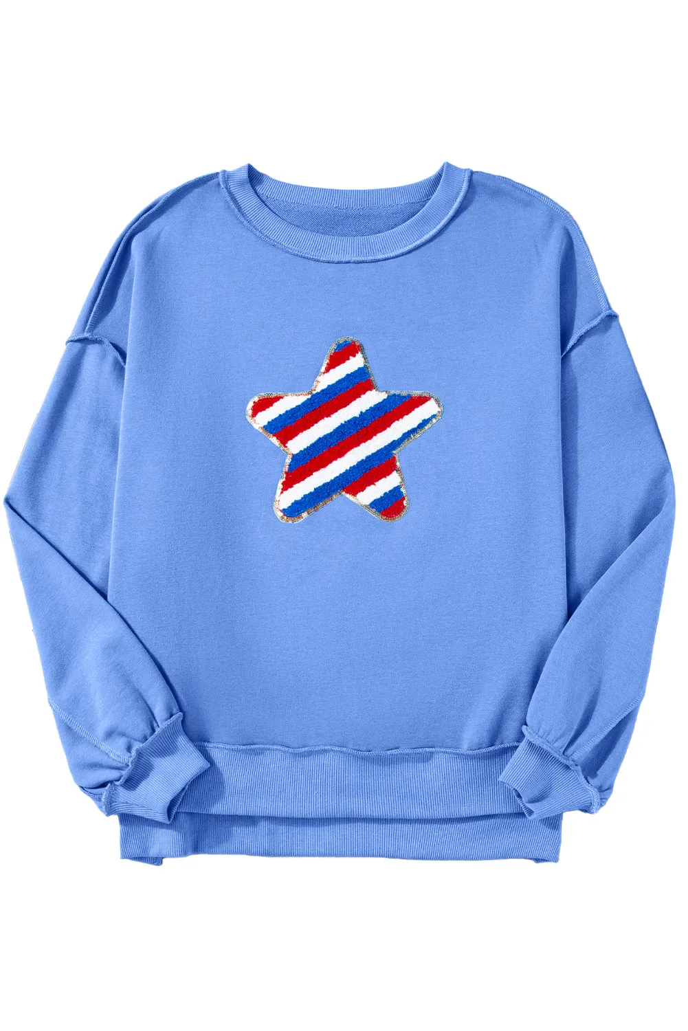 Sequin Trim Embroidered Sweatshirt